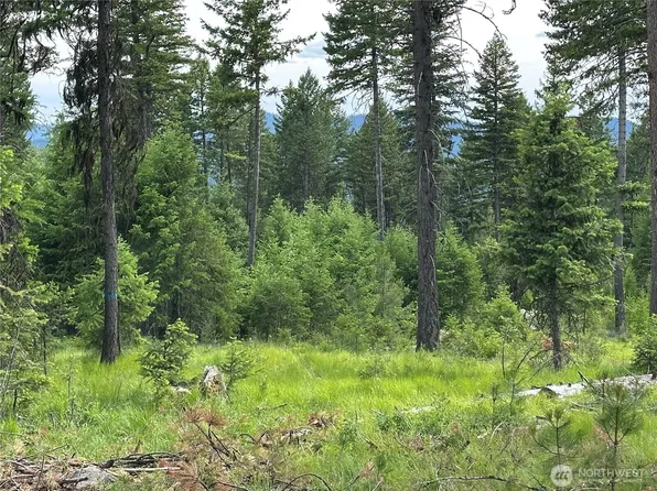 3600 Lot A Sheridan, Republic, WA 99166