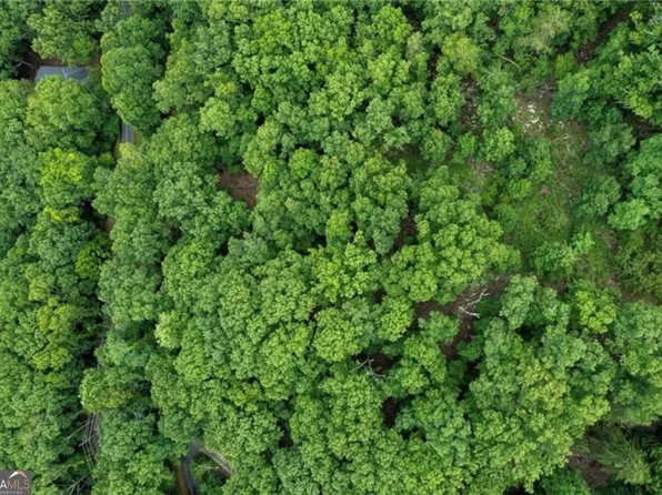 925 Lake Arrowhead Dr, Waleska, GA 30183