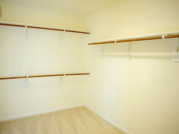 10007 Shire Green Ln — Photo 11