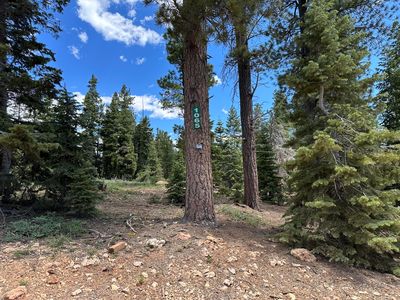 1065 E Redwood Rd, Duck Creek, UT, 84762