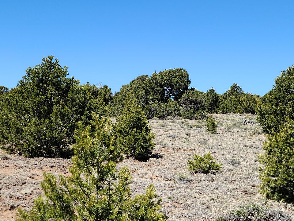 261 Black Hills Dr Walsenburg, CO, 81089 Apartments for Rent Zillow