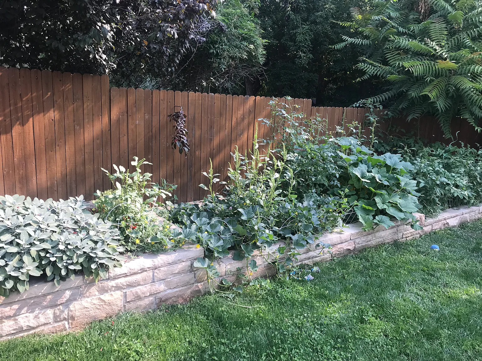10th St, Boulder — Photo 2