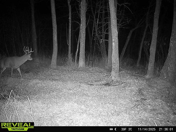 5th image of 30th Rd