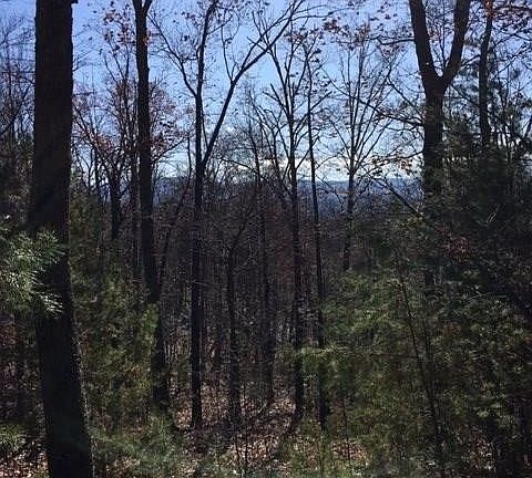 3rd image of 128 Bluff Mountain Rd Lot 128