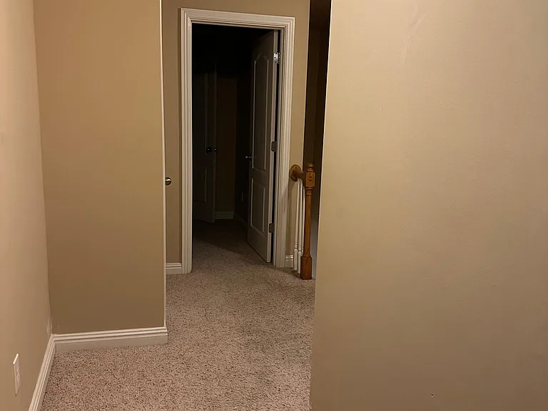 344 Broadleaf Ln — Photo 19
