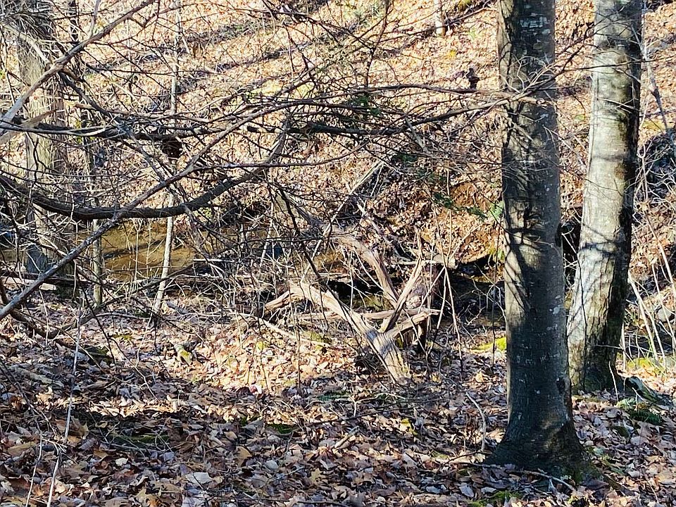 4628 Jones Gap Rd, Hiawassee, GA 30546 Zillow