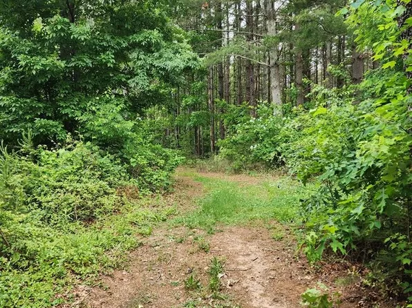 Tractor Ln, Cana, VA 24317
