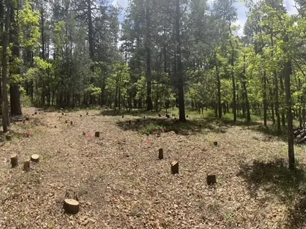 17 Brazos Mdws, Chama, NM 87520