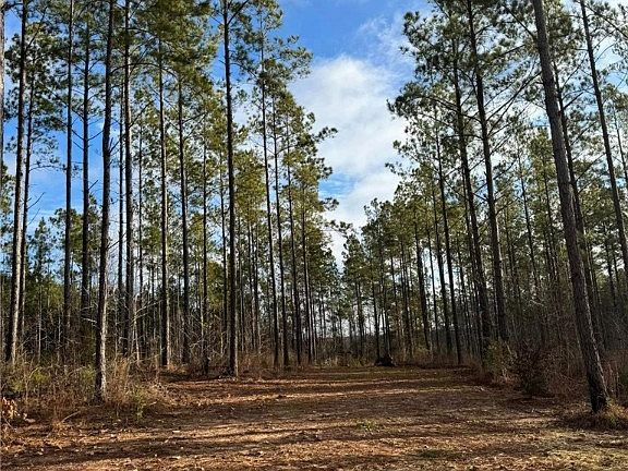 3rd image of 3996 Lee Road 254