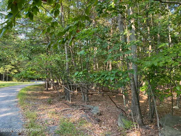 LOT 401 Wildwood Ln, Canadensis, PA 18325
