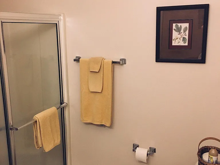 Master bath with walk-in seated shower
