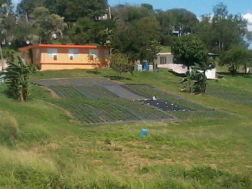 two houses on one acre