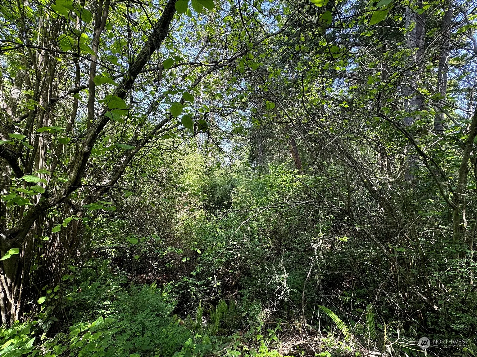 0 16th Street photo 1
