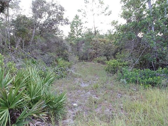 5th image of 905 Rainbow Lake Ln