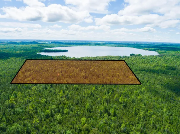 Near Loop Rd, Posen, MI 49776