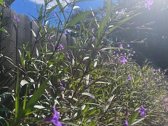 5th image of 54 Church Rd SE