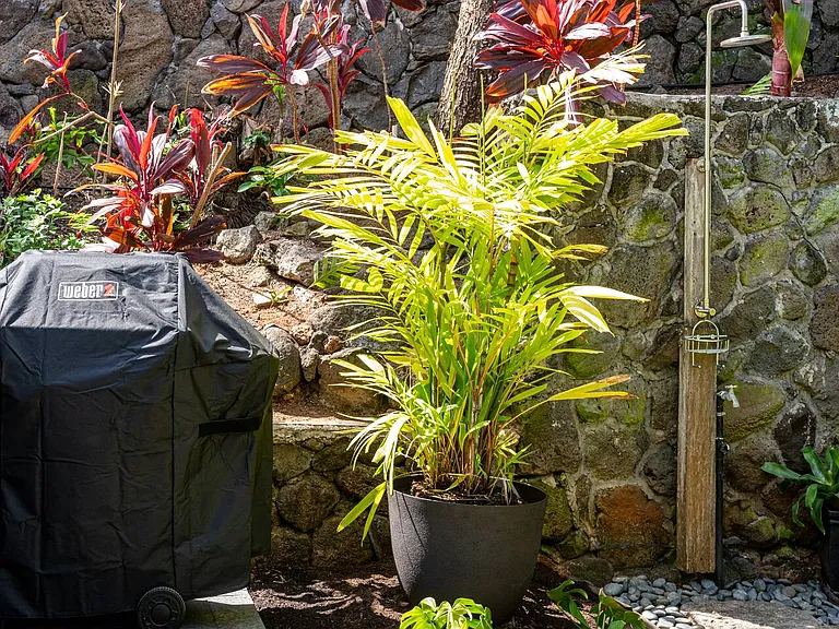 41-020 Ehukai St — Photo 12