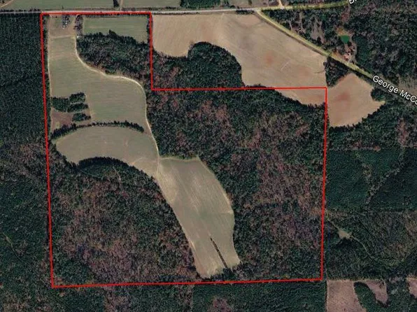 244 Blueville Rd, Buena Vista, GA 31803
