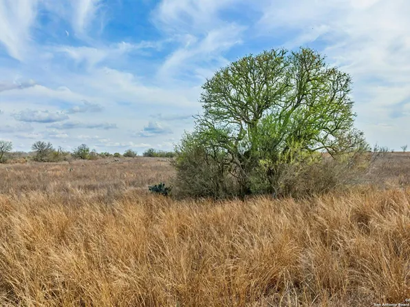 TBD CR 270, Realitos, TX 78376