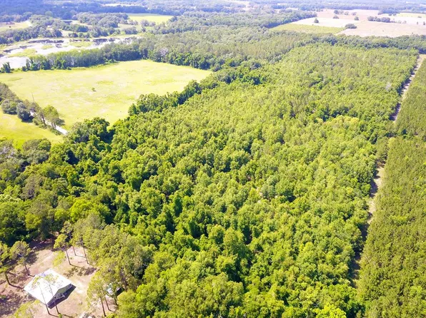 SE Wimberley Cir, Mayo, FL 32066