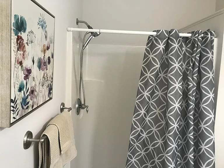 guest bath with walk-in shower