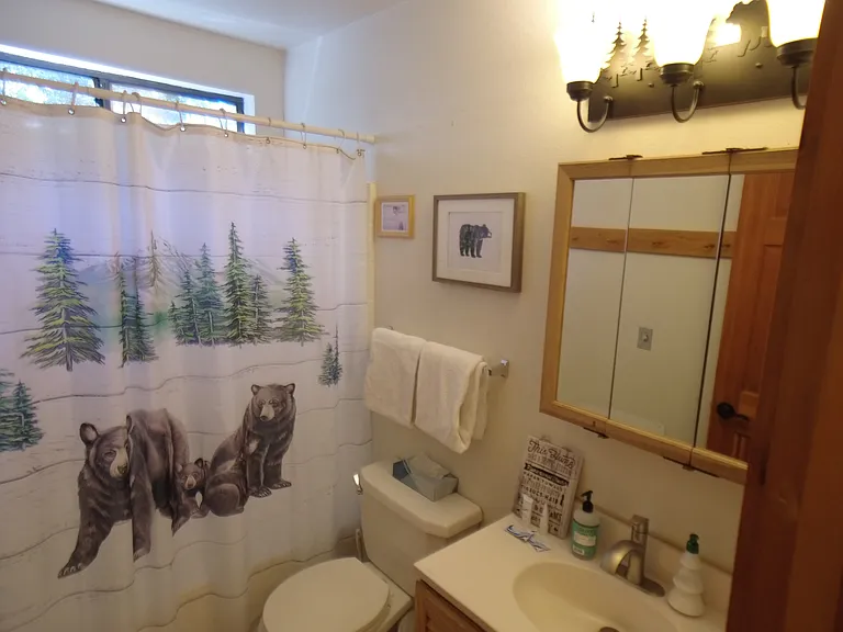 Secondary Shared Bathroom