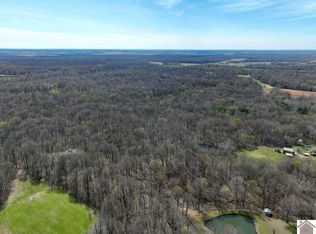 0 State Route 1748, Fancy Farm, KY 42039