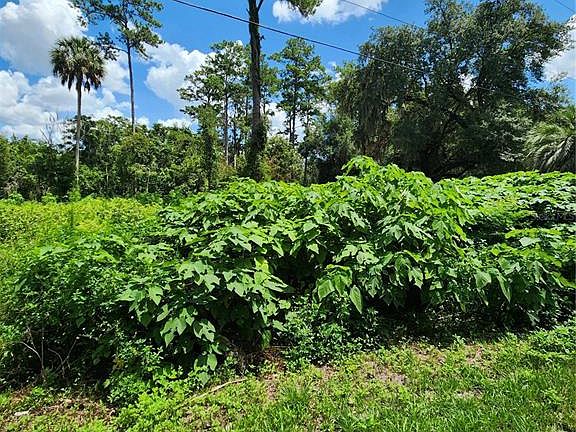 5th image of 5231 SE 25TH AVENUE LOT 285