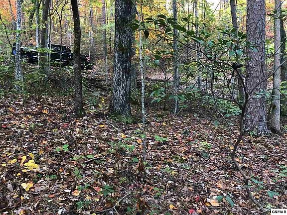 5th image of 1112 Pine Crest Ln Lot 11&12