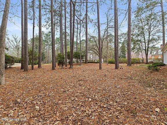 4th image of 113 Bedford Rd