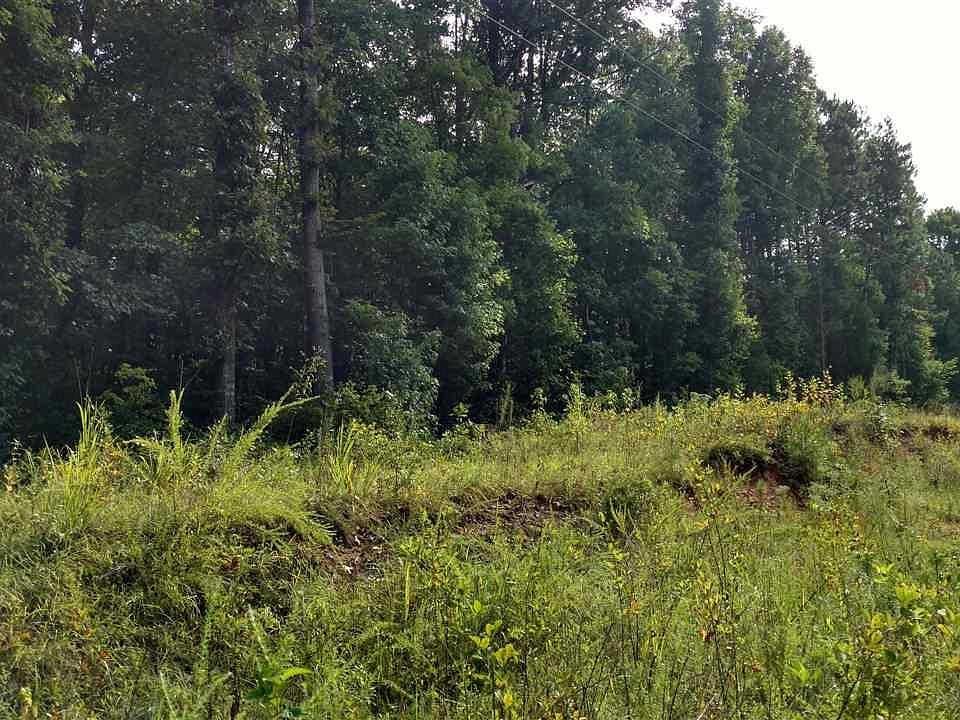 2nd image of Cheeks Cir