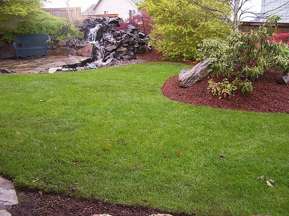 Backyard & Waterfall