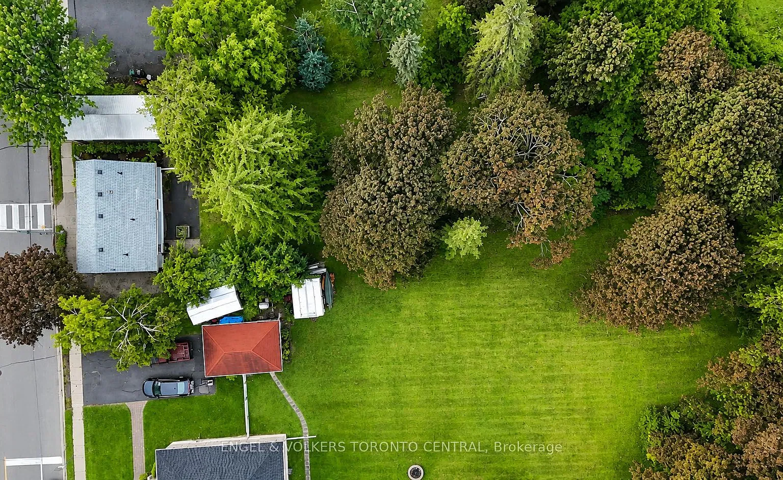 1 bed, $1,875 — Photo 4