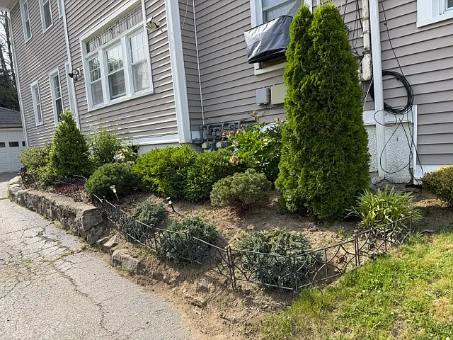 125 Oakland St #3 — Photo 5