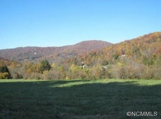 4 Rice Branch Rd, Asheville, NC 28804