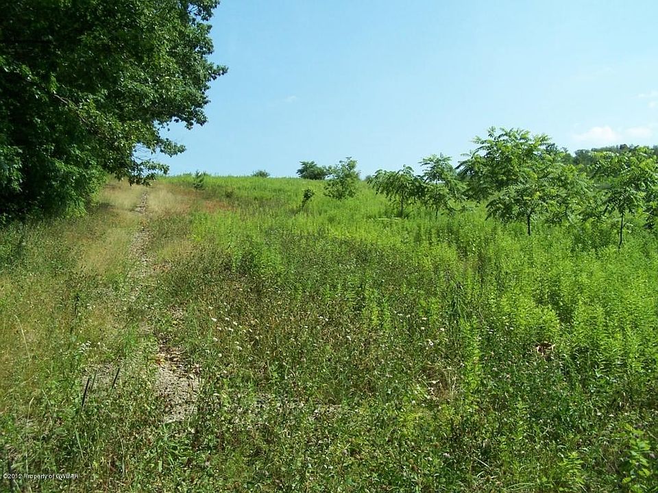 Lot view 1