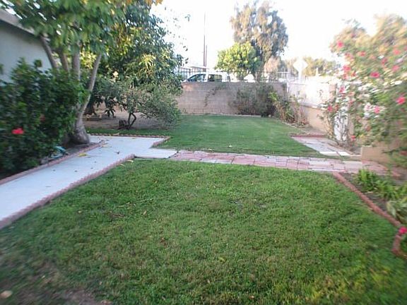 Other Area of back Yard