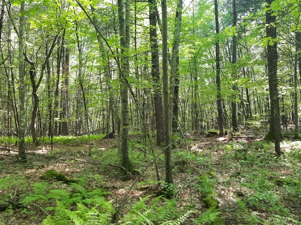 Lot 169D Kapitulik Road, Thompson, CT 06255