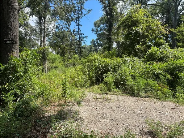 26059 E Christine Dr, Splendora, TX 77372