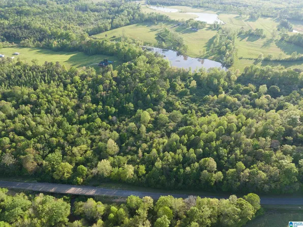 0 County Road 77 #35045, Clanton, AL 35045