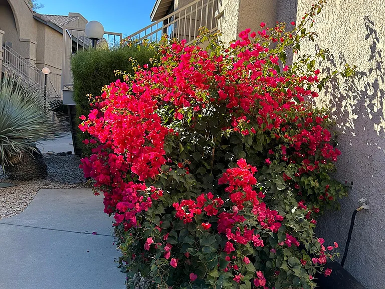 Sidewalk
