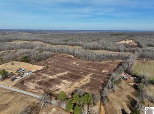 0 Roosevelt Rd, Dexter, KY 42036