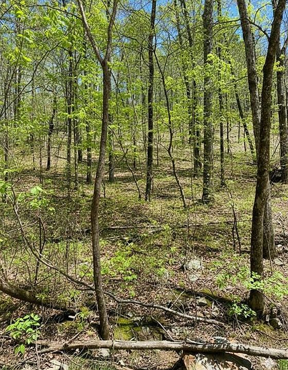 1st image of 158 WESTERN MAPLE Trail