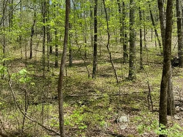 158 Western Maple Trl, Broken Bow, OK 74728