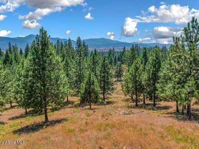 Nna W Hollister Hills Dr, Hauser, ID, 83854