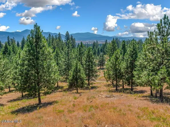 Nna W Hollister Hills Dr, Hauser, ID 83854