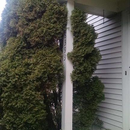5th image of 8393 Cliffthorne Way