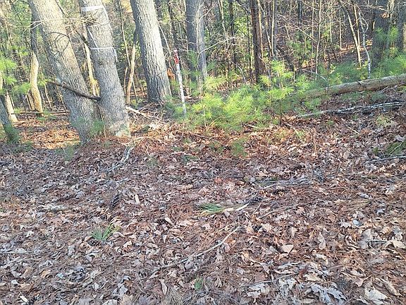 5th image of 0 Toccoa River Ln