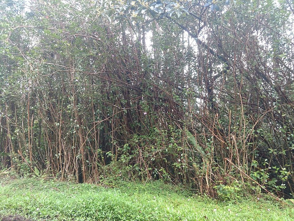 2nd image of Lanai Rd Lot 858