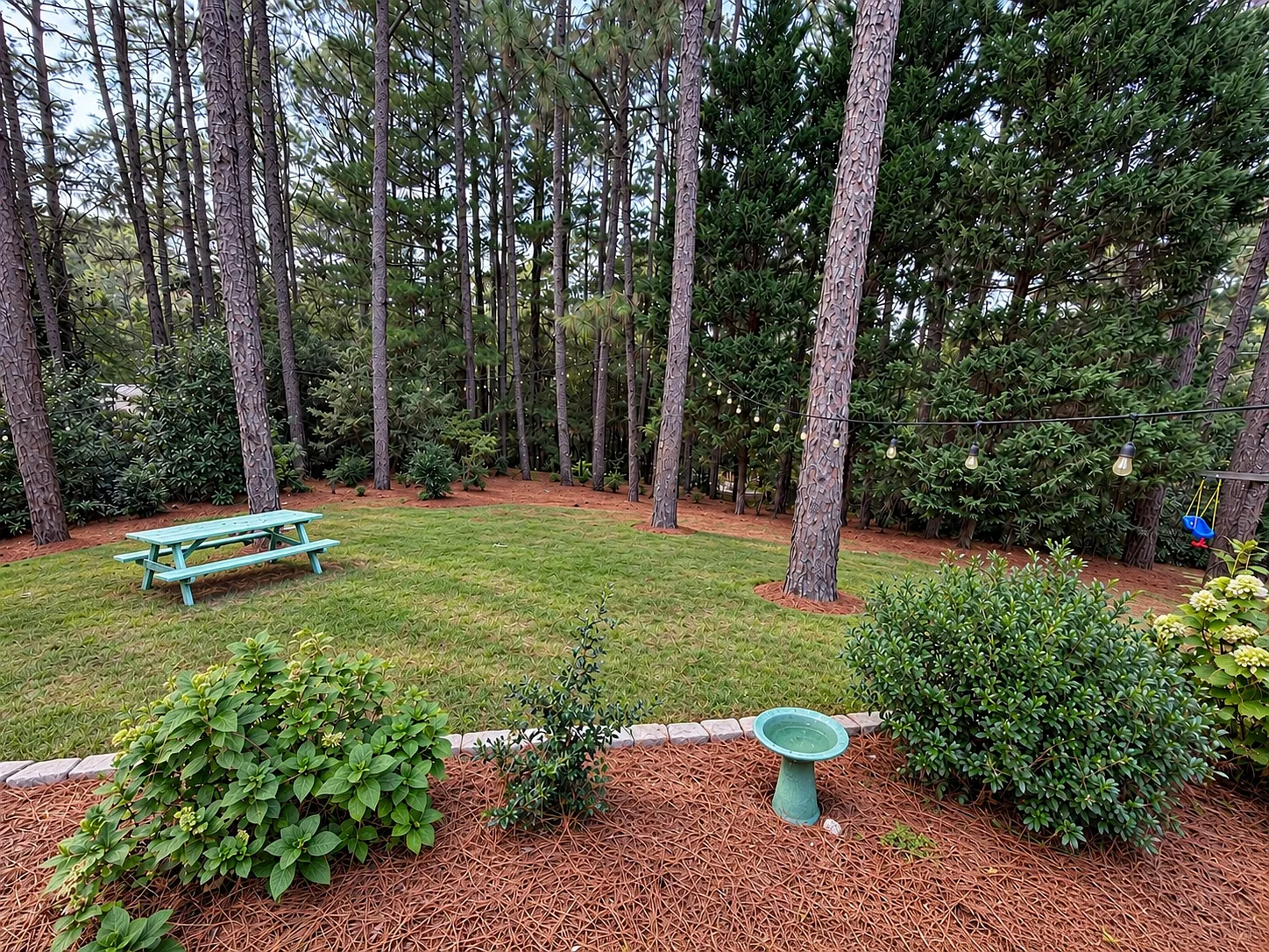 4 bed, 1844 sqft, $2,800 — Photo 2